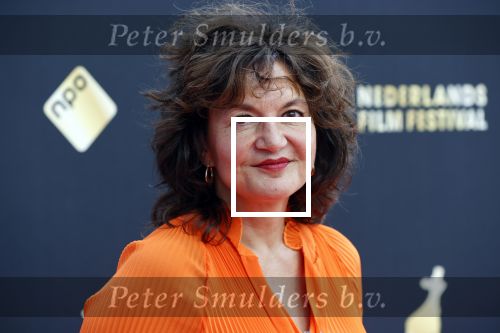 Utrecht 27 september 2020
Premiere I.M. tijdens filmdagen in Utrecht. Monique Busman
