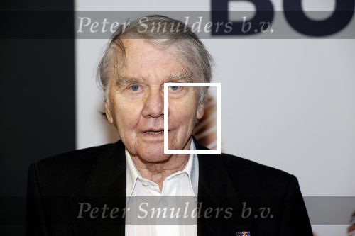 Utrecht 28 september 2020
Premiere buiten is het beter tijdens het nederlands film festival.
Willem Nijholt