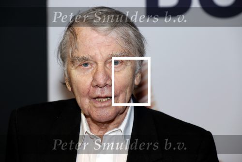 Utrecht 28 september 2020
Premiere buiten is het beter tijdens het nederlands film festival.
Willem Nijholt