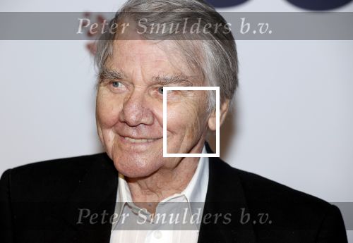 Utrecht 28 september 2020
Premiere buiten is het beter tijdens het nederlands film festival.
Willem Nijholt