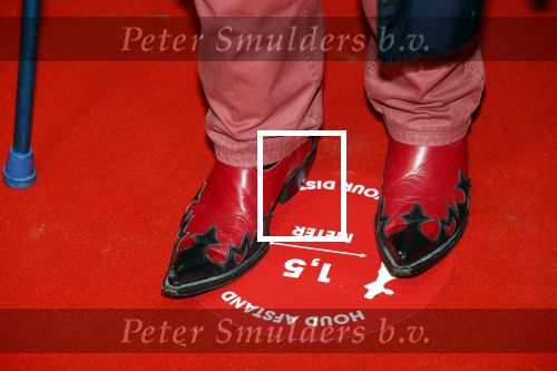 Utrecht 28 september 2020
Premiere buiten is het beter tijdens het nederlands film festival.
Willem Nijholt