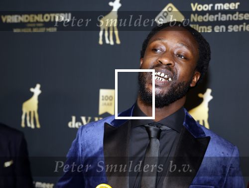 Utrecht 1 oktober 2021
Uitreiking gouden kalveren in schouwburg Utrecht.
Akwasi Ansah en Gianni Grot