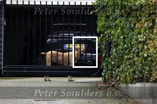 Berkel en Roderijs 23 oktober 2021
Huis van Andre Hazes waar Monique Westenberg en hun zoon Andre jr wonen