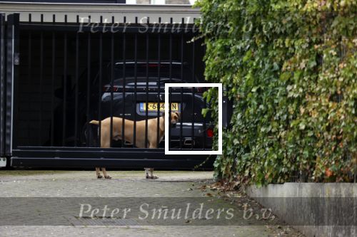 Berkel en Roderijs 23 oktober 2021
Huis van Andre Hazes waar Monique Westenberg en hun zoon Andre jr wonen
