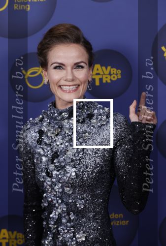 Amsterdam 14 oktober 2021
Televizierring gala in Carre Amsterdam. Angela Schijf
