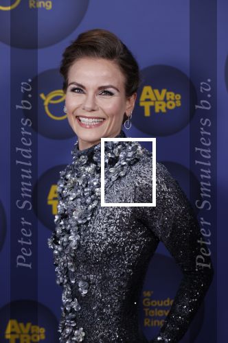 Amsterdam 14 oktober 2021
Televizierring gala in Carre Amsterdam. Angela Schijf