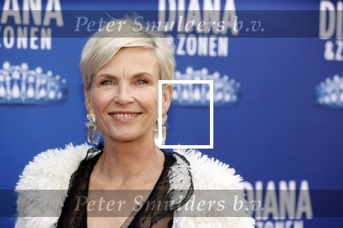 Amsterdam 12 september 2021
Premiere Diana en zonen in het deLaMar theater.
Anita Wiytzier kwam met haar man
