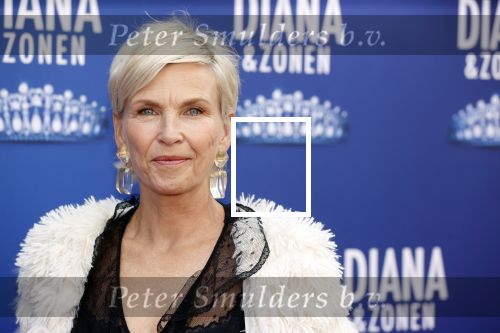 Amsterdam 12 september 2021
Premiere Diana en zonen in het deLaMar theater.
Anita Wiytzier kwam met haar man