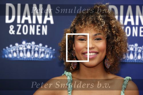 Amsterdam 12 september 2021
Premiere Diana en zonen in het deLaMar theater.
Anne Appelo