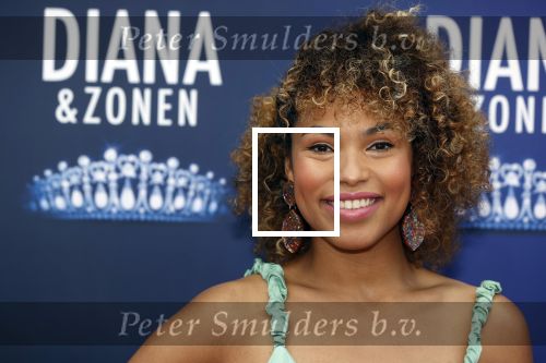 Amsterdam 12 september 2021
Premiere Diana en zonen in het deLaMar theater.
Anne Appelo