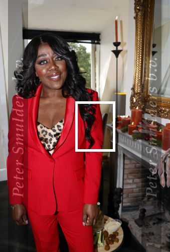 Amsterdam 11 oktober 2021
Presentatie fit platform van Antje Monteiro fit at home health & lifestyle. Bergit Lewis