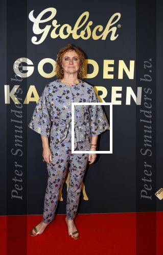 Utrecht 1 oktober 2021
Uitreiking gouden kalveren in schouwburg Utrecht.
Bianca Krijgsman