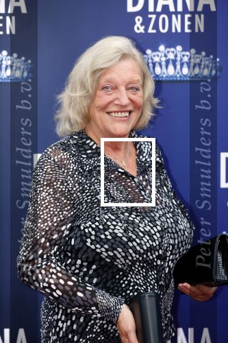 Amsterdam 12 september 2021
Premiere Diana en zonen in het deLaMar theater.