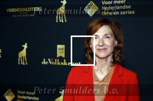 Utrecht 1 oktober 2021
Uitreiking gouden kalveren in schouwburg Utrecht.
Elsie de Brauw