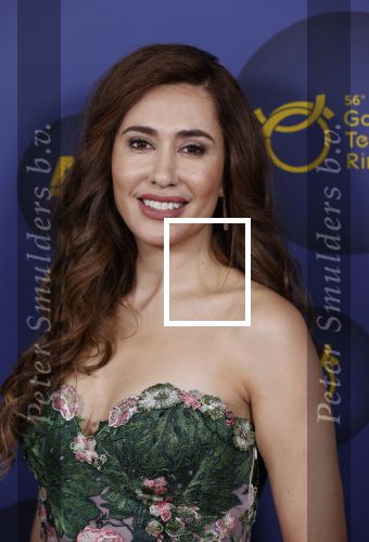Amsterdam 14 oktober 2021
Televizierring gala in Carre Amsterdam. Fidan Ekiz kwam met collega Renze Klamer
