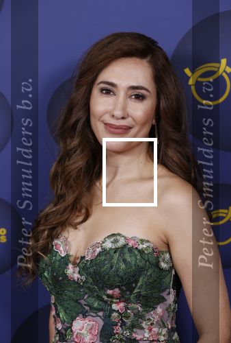 Amsterdam 14 oktober 2021
Televizierring gala in Carre Amsterdam. Fidan Ekiz kwam met collega Renze Klamer