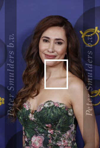 Amsterdam 14 oktober 2021
Televizierring gala in Carre Amsterdam. Fidan Ekiz kwam met collega Renze Klamer