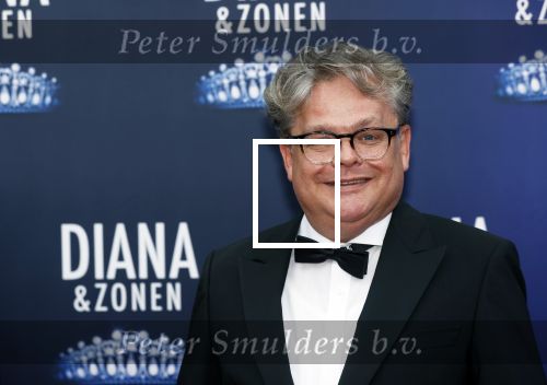 Amsterdam 12 september 2021
Premiere Diana en zonen in het deLaMar theater.
Frank Houtappels
