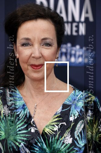 Amsterdam 12 september 2021
Premiere Diana en zonen in het deLaMar theater. 
Frederique Sluiterman v Loo