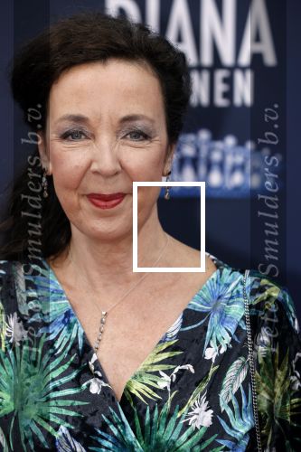 Amsterdam 12 september 2021
Premiere Diana en zonen in het deLaMar theater. 
Frederique Sluiterman v Loo