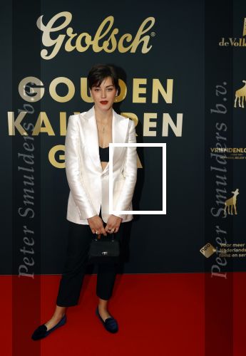 Utrecht 1 oktober 2021
Uitreiking gouden kalveren in schouwburg Utrecht.
