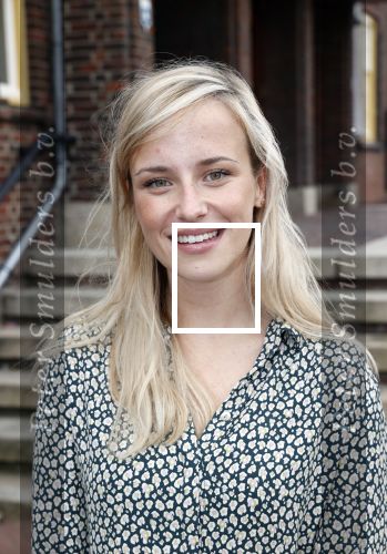Amsterdam 27 september 2021
Frederik Brom, Rick Engelkes, Guusje te Pas, Danny Westerweel, Willeke van Ammelrooy, Bob Ott, Roos van Erkel, Wilbert Gieske en Xander van Vledder tijdens de castpresentatie van de theatervoorstelling The Mousetrap