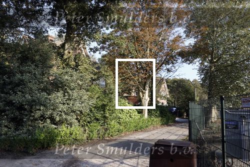 Noordwijkerhout 9 oktober 2021
Het nieuwe huis van Martien Meiland en zijn buren hebben samen een pad naar de huizen.