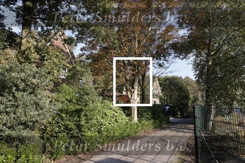 Noordwijkerhout 9 oktober 2021
Het nieuwe huis van Martien Meiland en zijn buren hebben samen een pad naar de huizen.