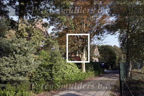Noordwijkerhout 9 oktober 2021
Het nieuwe huis van Martien Meiland en zijn buren hebben samen een pad naar de huizen.