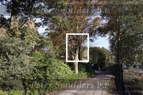 Noordwijkerhout 9 oktober 2021
Het nieuwe huis van Martien Meiland en zijn buren hebben samen een pad naar de huizen.