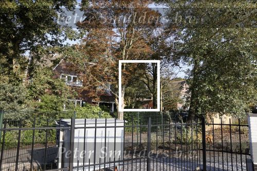 Noordwijkerhout 9 oktober 2021
Het nieuwe huis van Martien Meiland en zijn buren hebben samen een pad naar de huizen.