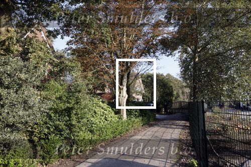Noordwijkerhout 9 oktober 2021
Het nieuwe huis van Martien Meiland en zijn buren hebben samen een pad naar de huizen.
