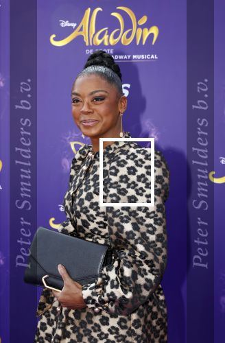 Scheveningen 26 september 2021
Premiere Aladdin in het circustheater.
Natacha Harlequin