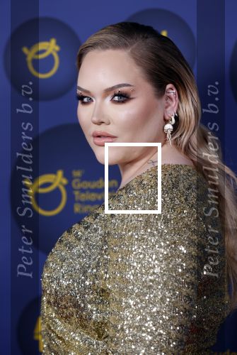 Amsterdam 14 oktober 2021
Televizierring gala in Carre Amsterdam.
Nikkie de Jager ( Nikkie  Tutorials) kwam met een vriend