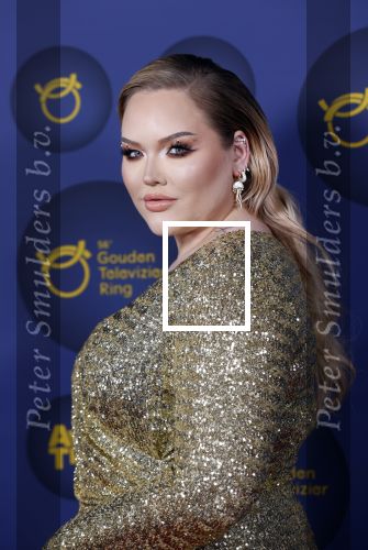 Amsterdam 14 oktober 2021
Televizierring gala in Carre Amsterdam.
Nikkie de Jager ( Nikkie  Tutorials) kwam met een vriend