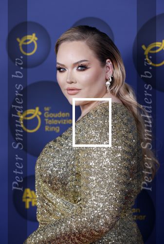 Amsterdam 14 oktober 2021
Televizierring gala in Carre Amsterdam.
Nikkie de Jager ( Nikkie  Tutorials) kwam met een vriend