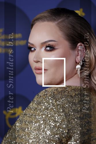 Amsterdam 14 oktober 2021
Televizierring gala in Carre Amsterdam.
Nikkie de Jager ( Nikkie  Tutorials) kwam met een vriend