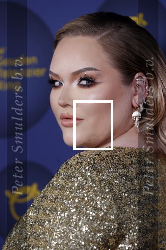 Amsterdam 14 oktober 2021
Televizierring gala in Carre Amsterdam.
Nikkie de Jager ( Nikkie  Tutorials) kwam met een vriend