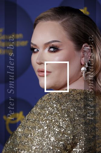 Amsterdam 14 oktober 2021
Televizierring gala in Carre Amsterdam.
Nikkie de Jager ( Nikkie  Tutorials) kwam met een vriend
