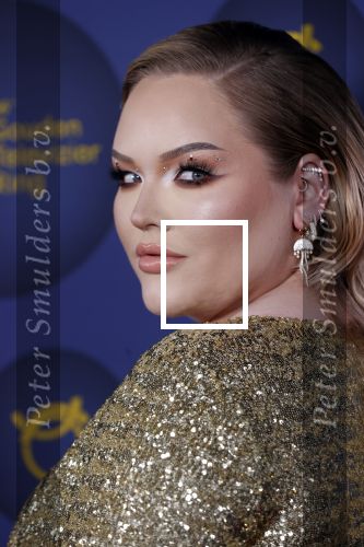 Amsterdam 14 oktober 2021
Televizierring gala in Carre Amsterdam.
Nikkie de Jager ( Nikkie  Tutorials) kwam met een vriend