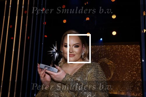 Amsterdam 14 oktober 2021
Televizierring gala in Carre Amsterdam.
Nikkie de Jager ( Nikkie  Tutorials) kwam met een vriend
