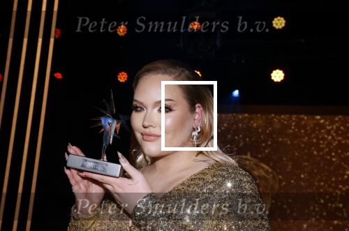 Amsterdam 14 oktober 2021
Televizierring gala in Carre Amsterdam.
Nikkie de Jager ( Nikkie  Tutorials) kwam met een vriend