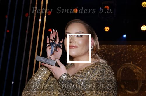Amsterdam 14 oktober 2021
Televizierring gala in Carre Amsterdam.
Nikkie de Jager ( Nikkie  Tutorials) kwam met een vriend