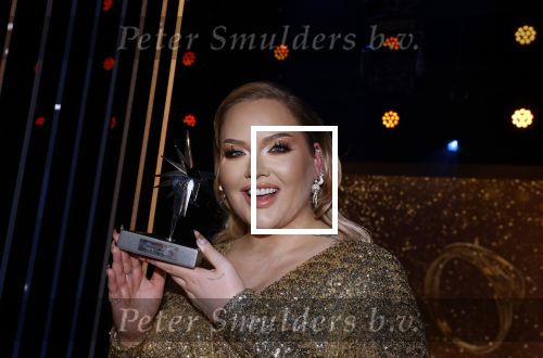 Amsterdam 14 oktober 2021
Televizierring gala in Carre Amsterdam.
Nikkie de Jager ( Nikkie  Tutorials) kwam met een vriend