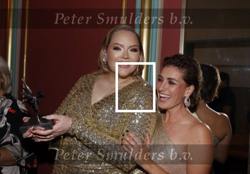 Amsterdam 14 oktober 2021
Televizierring gala in Carre Amsterdam.
Nikkie de Jager ( Nikkie  Tutorials) kwam met een vriend
