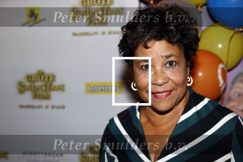 Amsterdam 3 oktober 2021
Premiere grote sinterklaasfilm in Pathe Noord. Noraly Beyer