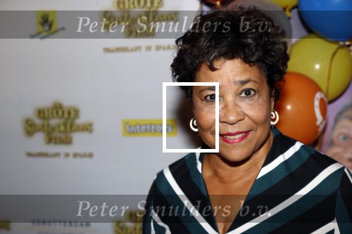 Amsterdam 3 oktober 2021
Premiere grote sinterklaasfilm in Pathe Noord. Noraly Beyer