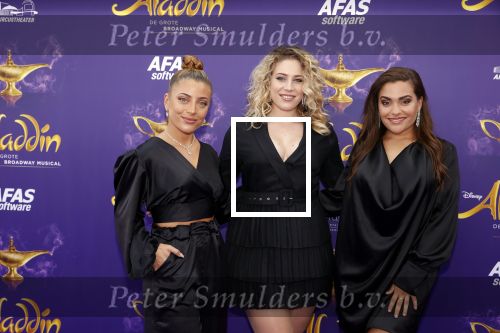Scheveningen 26 september 2021
Premiere Aladdin in het circustheater.
Ogene Og3ne