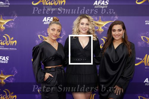 Scheveningen 26 september 2021
Premiere Aladdin in het circustheater.
Ogene Og3ne