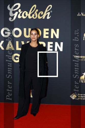 Utrecht 1 oktober 2021
Uitreiking gouden kalveren in schouwburg Utrecht.
Ortal Vriend
